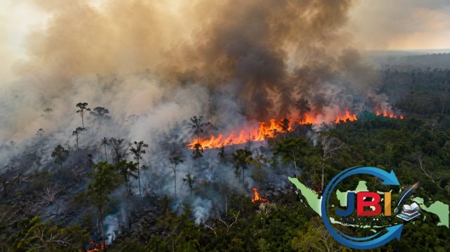 kobaran api dan asap tebal dikalimantan